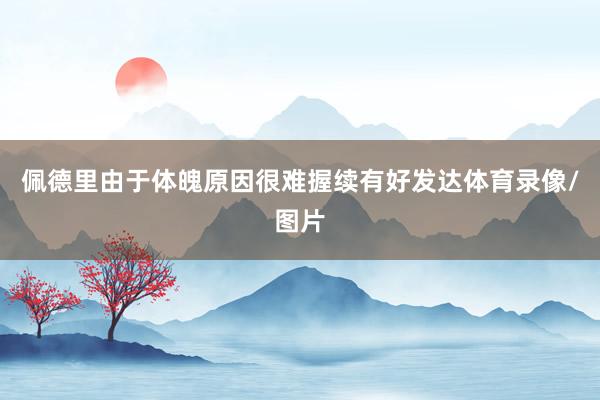 佩德里由于体魄原因很难握续有好发达体育录像/图片