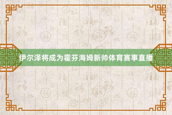 伊尔泽将成为霍芬海姆新帅体育赛事直播
