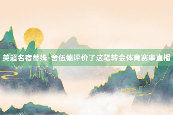 英超名宿蒂姆-舍伍德评价了这笔转会体育赛事直播