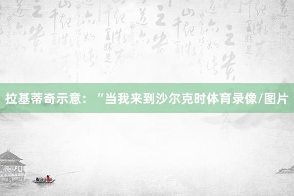 拉基蒂奇示意：“当我来到沙尔克时体育录像/图片