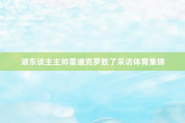 湖东谈主主帅雷迪克罗致了采访体育集锦