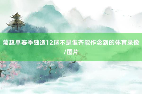 葡超单赛季独造12球不是谁齐能作念到的体育录像/图片