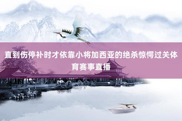 直到伤停补时才依靠小将加西亚的绝杀惊愕过关体育赛事直播