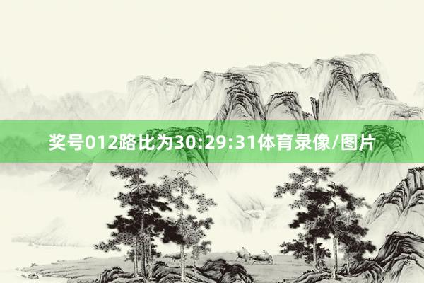 奖号012路比为30:29:31体育录像/图片
