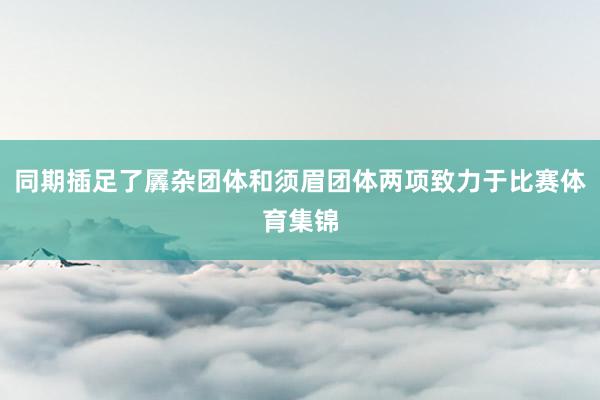 同期插足了羼杂团体和须眉团体两项致力于比赛体育集锦