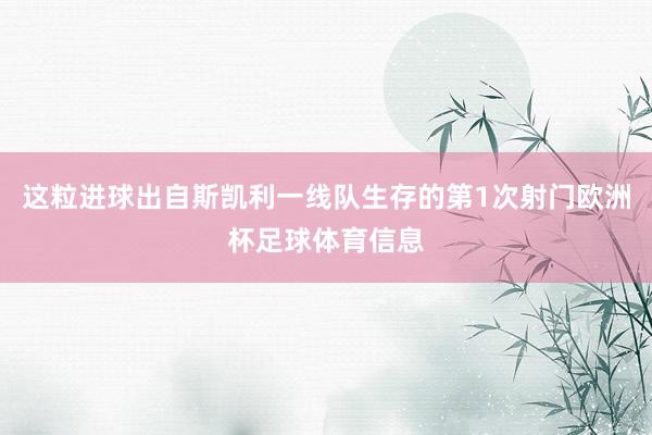这粒进球出自斯凯利一线队生存的第1次射门欧洲杯足球体育信息