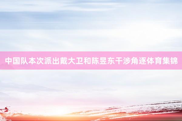 中国队本次派出戴大卫和陈昱东干涉角逐体育集锦