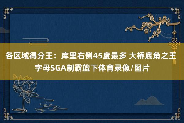 各区域得分王：库里右侧45度最多 大桥底角之王 字母SGA制霸篮下体育录像/图片