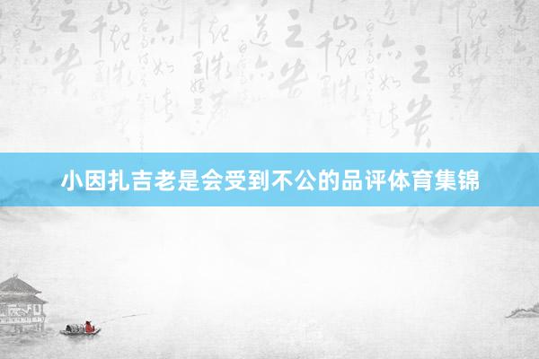 小因扎吉老是会受到不公的品评体育集锦