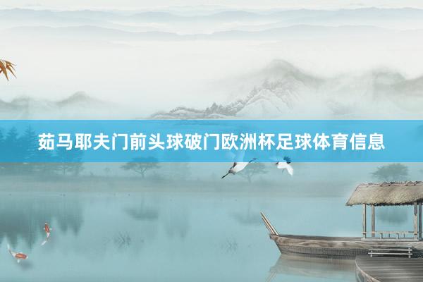 茹马耶夫门前头球破门欧洲杯足球体育信息
