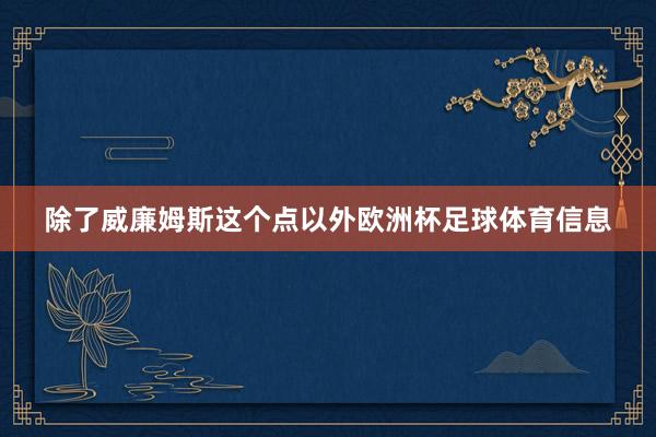 除了威廉姆斯这个点以外欧洲杯足球体育信息