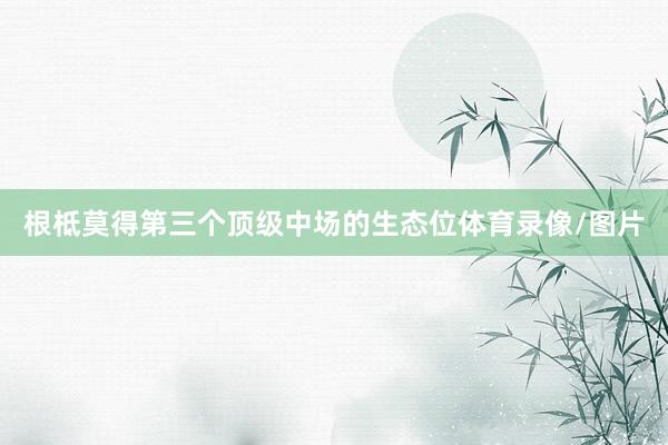 根柢莫得第三个顶级中场的生态位体育录像/图片