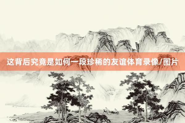 这背后究竟是如何一段珍稀的友谊体育录像/图片