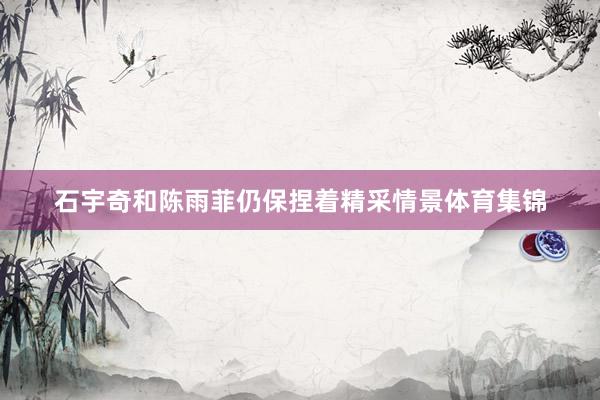 石宇奇和陈雨菲仍保捏着精采情景体育集锦