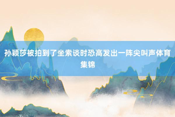孙颖莎被拍到了坐索谈时恐高发出一阵尖叫声体育集锦