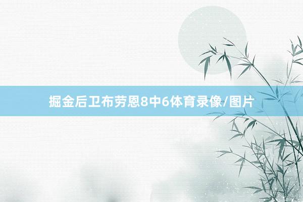 掘金后卫布劳恩8中6体育录像/图片