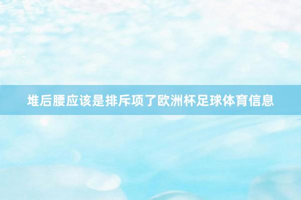 堆后腰应该是排斥项了欧洲杯足球体育信息