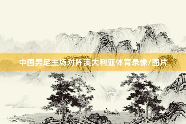 中国男足主场对阵澳大利亚体育录像/图片