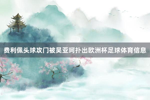 费利佩头球攻门被吴亚珂扑出欧洲杯足球体育信息