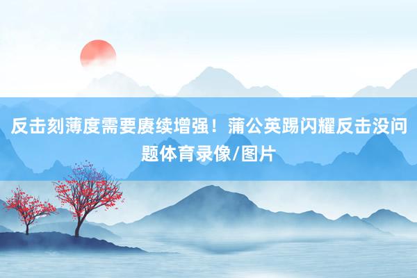 反击刻薄度需要赓续增强！蒲公英踢闪耀反击没问题体育录像/图片