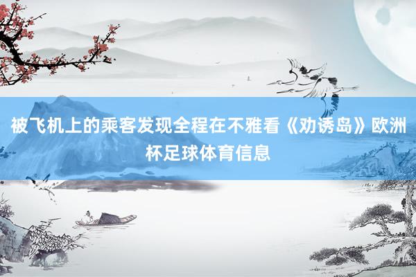 被飞机上的乘客发现全程在不雅看《劝诱岛》欧洲杯足球体育信息