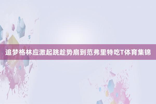 追梦格林应激起跳趁势扇到范弗里特吃T体育集锦