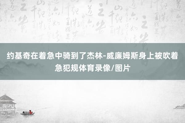 约基奇在着急中骑到了杰林-威廉姆斯身上被吹着急犯规体育录像/图片