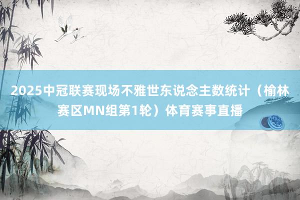 2025中冠联赛现场不雅世东说念主数统计（榆林赛区MN组第1轮）体育赛事直播