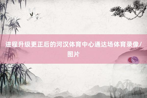 进程升级更正后的河汉体育中心通达场体育录像/图片