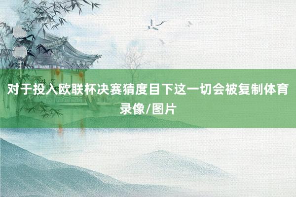 对于投入欧联杯决赛 猜度目下这一切会被复制体育录像/图片