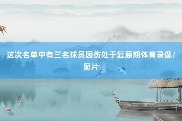 这次名单中有三名球员因伤处于复原期体育录像/图片