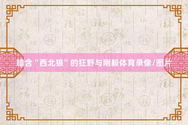 暗含“西北狼”的狂野与刚毅体育录像/图片
