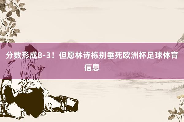 分数形成8-3！但愿林诗栋别垂死欧洲杯足球体育信息