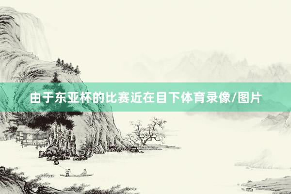 由于东亚杯的比赛近在目下体育录像/图片