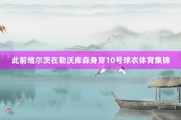 此前维尔茨在勒沃库森身穿10号球衣体育集锦