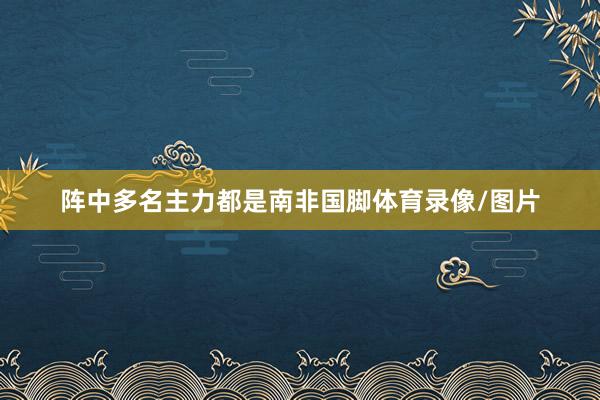 阵中多名主力都是南非国脚体育录像/图片