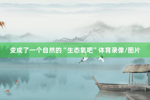 变成了一个自然的“生态氧吧”体育录像/图片