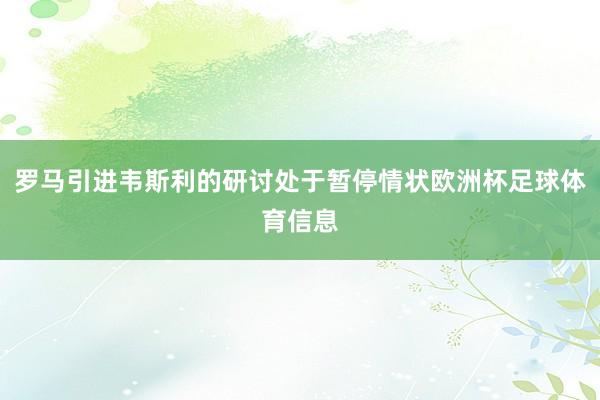 罗马引进韦斯利的研讨处于暂停情状欧洲杯足球体育信息