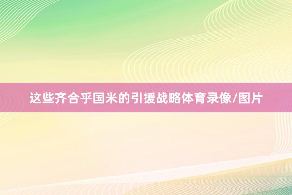 这些齐合乎国米的引援战略体育录像/图片
