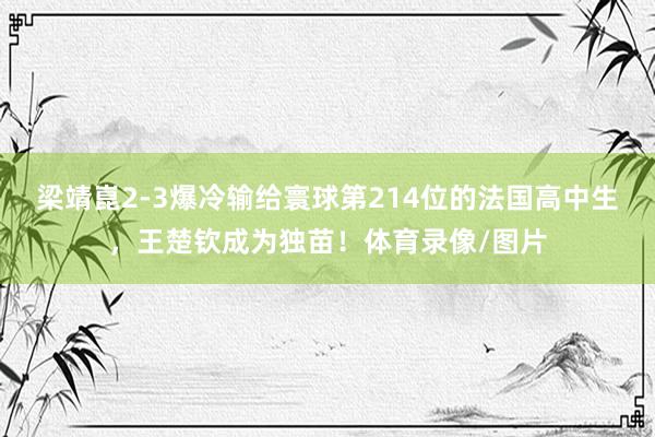 梁靖崑2-3爆冷输给寰球第214位的法国高中生，王楚钦成为独苗！体育录像/图片