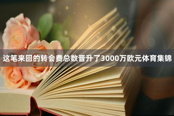 这笔来回的转会费总数晋升了3000万欧元体育集锦