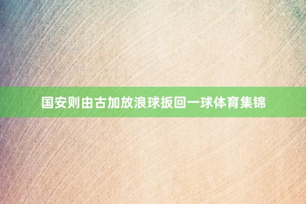 国安则由古加放浪球扳回一球体育集锦