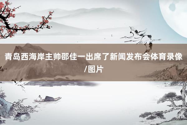 青岛西海岸主帅邵佳一出席了新闻发布会体育录像/图片