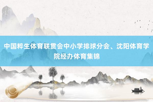 中国粹生体育联贯会中小学排球分会、沈阳体育学院经办体育集锦