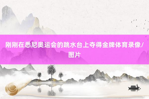 刚刚在悉尼奥运会的跳水台上夺得金牌体育录像/图片