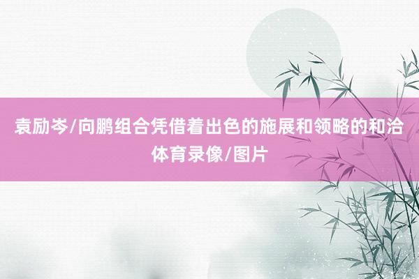 袁励岑/向鹏组合凭借着出色的施展和领略的和洽体育录像/图片