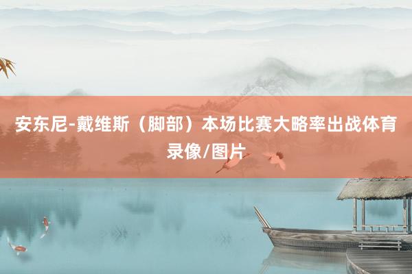 安东尼-戴维斯（脚部）本场比赛大略率出战体育录像/图片