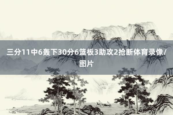 三分11中6轰下30分6篮板3助攻2抢断体育录像/图片