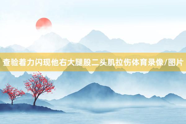 查验着力闪现他右大腿股二头肌拉伤体育录像/图片