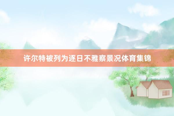 许尔特被列为逐日不雅察景况体育集锦
